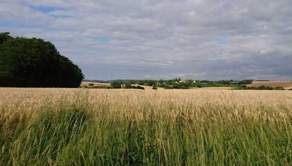 Topographie-foncier-bornage-implantation